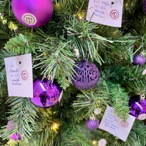 WICHTEL FÜR SENIOREN. BEREITEN SIE HILFE- UND PFLEGEBEDÜRFTIGEN AN WEIHNACHTEN EINE FREUDE WICHTEL FÜR SENIOREN. BEREITEN SIE HILFE- UND PFLEGEBEDÜRFTIGEN AN WEIHNACHTEN EINE FREUDE