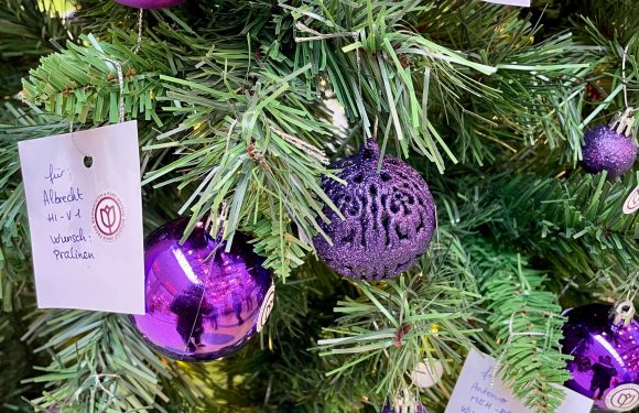 WICHTEL FÜR SENIOREN. BEREITEN SIE HILFE- UND PFLEGEBEDÜRFTIGEN AN WEIHNACHTEN EINE FREUDE WICHTEL FÜR SENIOREN. BEREITEN SIE HILFE- UND PFLEGEBEDÜRFTIGEN AN WEIHNACHTEN EINE FREUDE